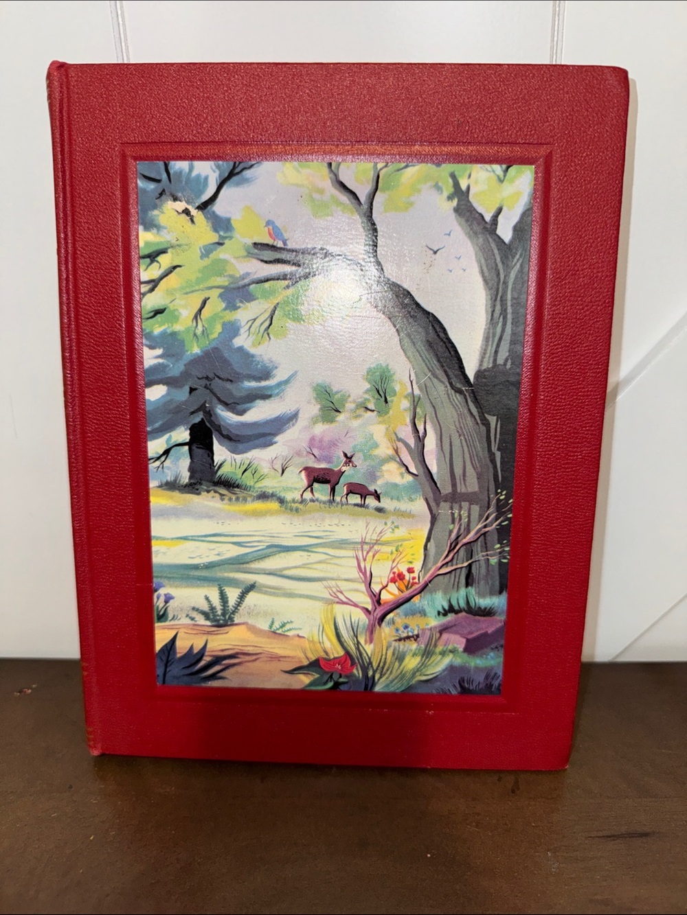 The Bookshelf for Boys and Girls Vol. 7 Red Decorative Book